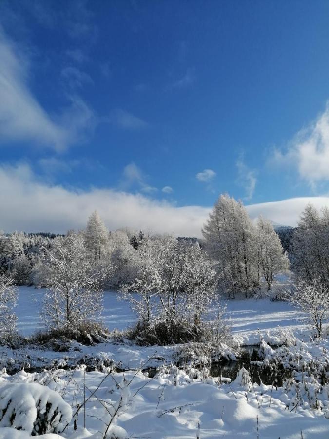Ferienwohnung Familie Pichler Neumarkt in Steiermark Exteriör bild