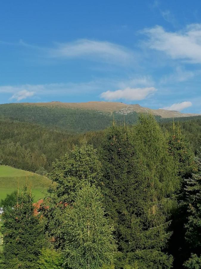 Ferienwohnung Familie Pichler Neumarkt in Steiermark Exteriör bild