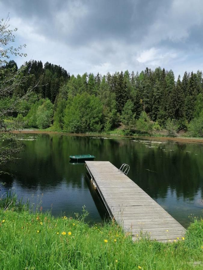 Ferienwohnung Familie Pichler Neumarkt in Steiermark Exteriör bild