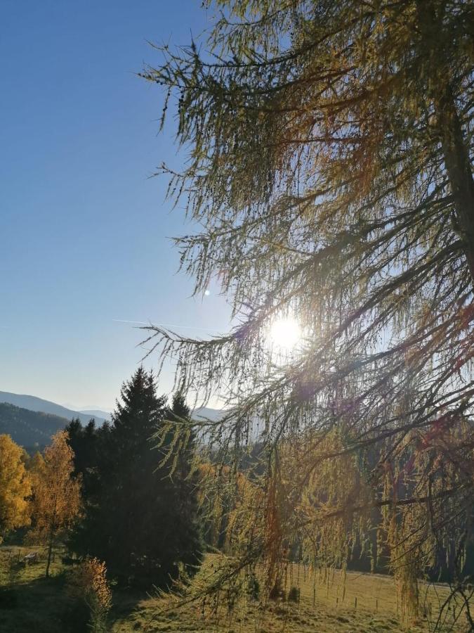 Ferienwohnung Familie Pichler Neumarkt in Steiermark Exteriör bild